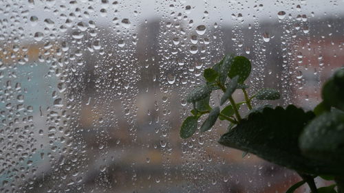 Raindrops on glass window