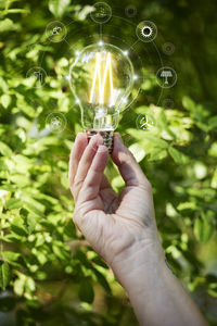 Hand holding lightbulb