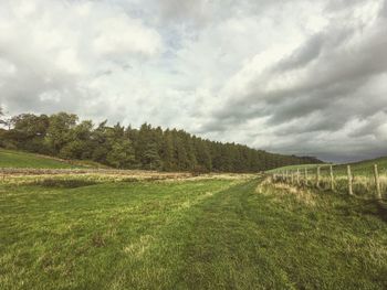 Scenic view of field against sky