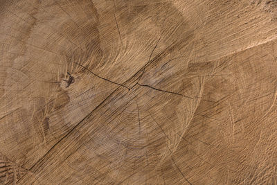 Detail shot of wooden surface