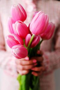 Close-up of pink flowering plant