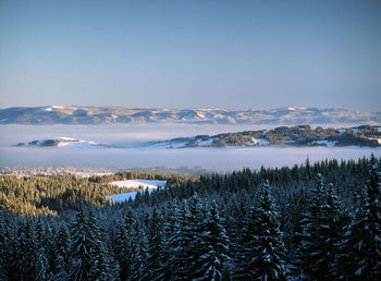 Scenic view of landscape against clear sky during winter