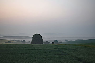 Scenic view of agricultural field against sky during sunset