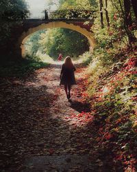 Rear view of woman walking on autumn leaves