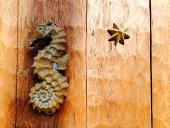 Close-up of seahorse shape doorknob on wooden door