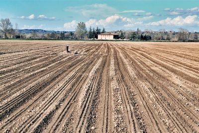 Scenic view of agricultural field against sky