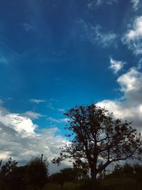 Low angle view of silhouette trees against blue sky