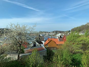 Houses and trees against sky in city