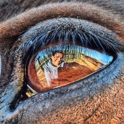 Close-up of human eye