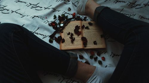 Low section of person with rose petals and open book sitting on bed