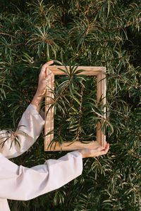 Cropped hands of woman holding picture frame against tree
