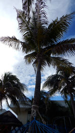 Close-up of silhouette palm tree against sky