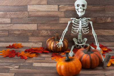 Pumpkins with skeleton and autumn leaves on wood during halloween