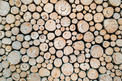 Full frame shot of logs in forest