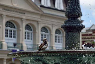 View of fountain against building