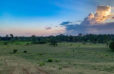 Scenic view of field against sky during sunset