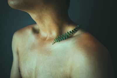 Close-up of leaves on shirtless shoulder