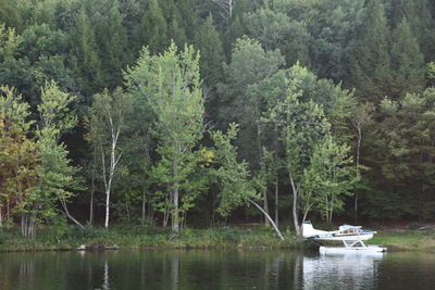 Scenic view of lake by trees against sky