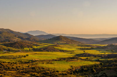 Scenic view of field against sky during sunset