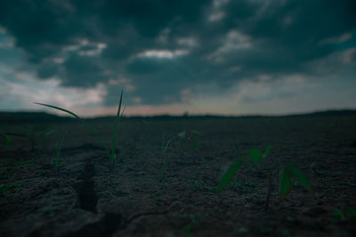 Scenic view of field against sky at dusk