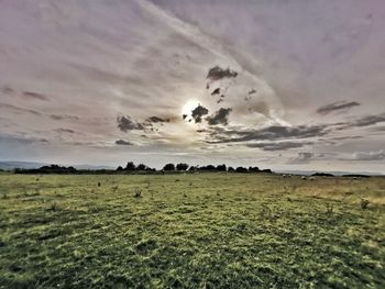 Scenic view of field against sky during sunset