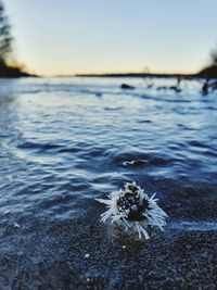 Surface level of sea shore