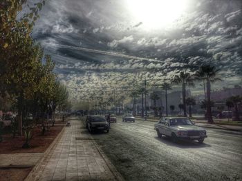 Road passing through trees