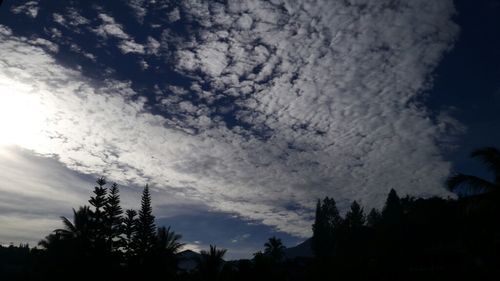 Silhouette of trees against cloudy sky