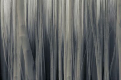 Full frame shot of curtain