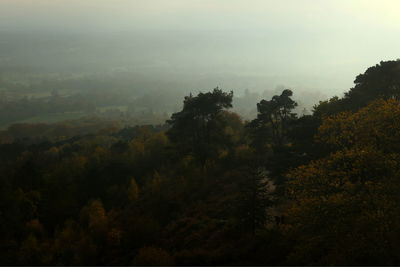 High angle view of trees on landscape against sky