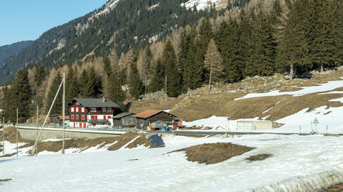 snow