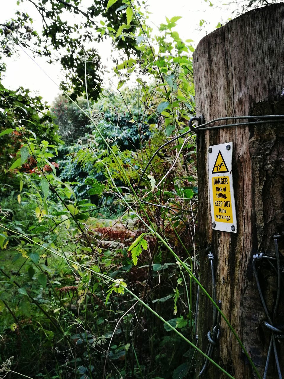 SIGNBOARD IN FOREST