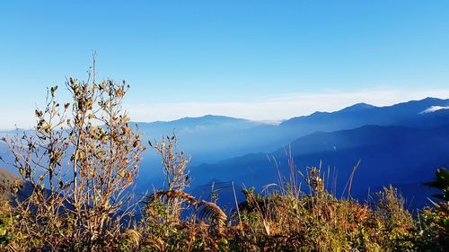 Scenic view of mountains against clear blue sky