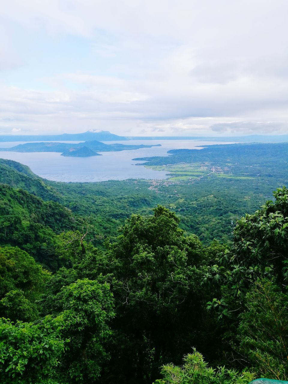 sky, scenics, beauty in nature, nature, growth, tree, tranquil scene, tranquility, sea, idyllic, no people, outdoors, cloud - sky, landscape, agriculture, green color, water, day, horizon over water