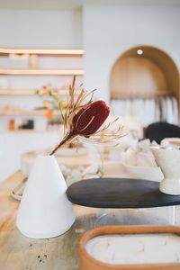 Protea flower in the small retail shop