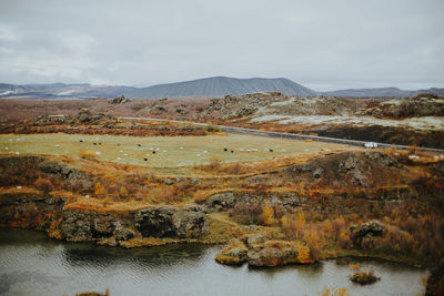 Scenic view of landscape against sky