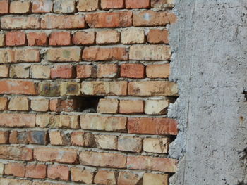 Full frame shot of brick wall