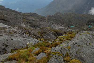 Camping in the mountains, rwenzori mountains, uganda