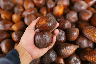 Cropped hand holding chestnuts