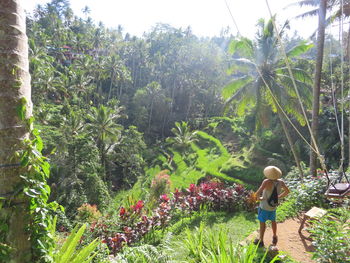 Rear view of woman standing by plants