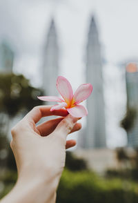 Female hand holding a frangipani flower in front of the twin towers