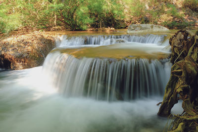 Scenic view of waterfall in forest