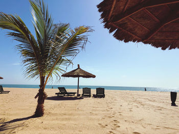 Palm trees on beach against sky