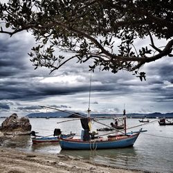 Sailboats moored on sea against sky