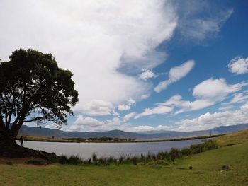Scenic view of field against sky