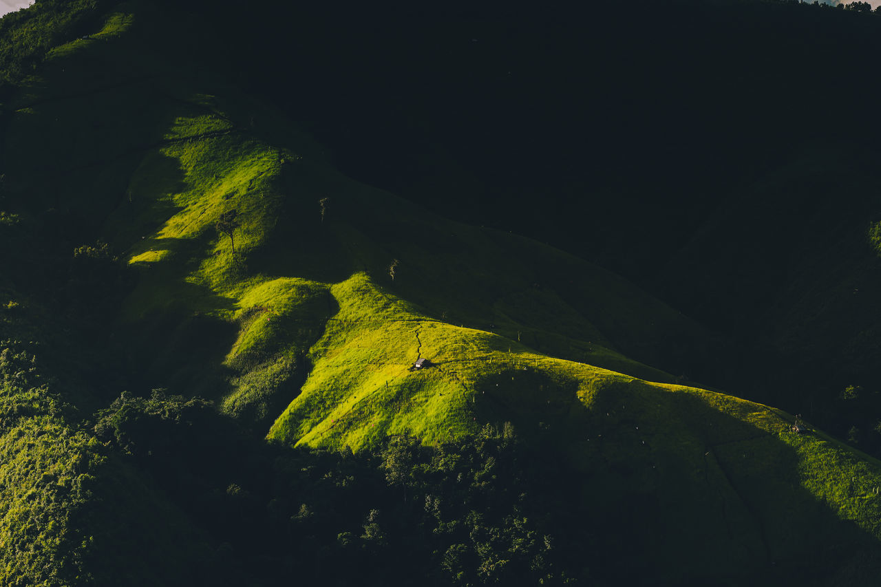 green, environment, land, mountain, landscape, nature, yellow, beauty in nature, no people, scenics - nature, plant, tree, tranquility, outdoors, forest, non-urban scene, terrain, tranquil scene, travel, day, volcano, sunlight, water, leaf, aerial view, sky