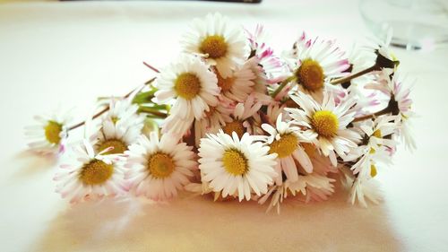 Close-up of white flowers