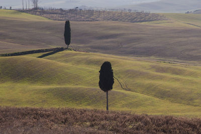 Scenic view of agricultural field