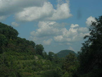 Scenic view of forest against cloudy sky