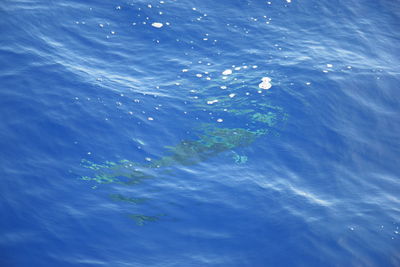 High angle view of sea against blue sky